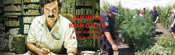 каннабис Аркадак